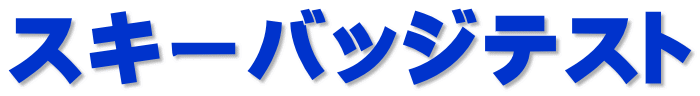 スキーバッジテスト